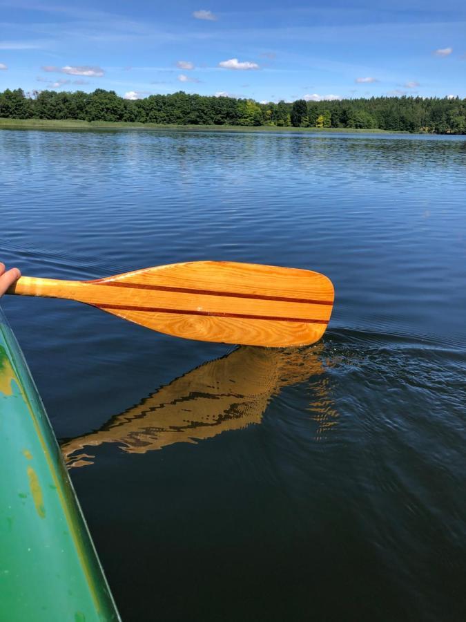 5 Sterne-Ferienhaus Eisvogel Am See Mit Sauna Und Kamin Krakow am See Bagian luar foto